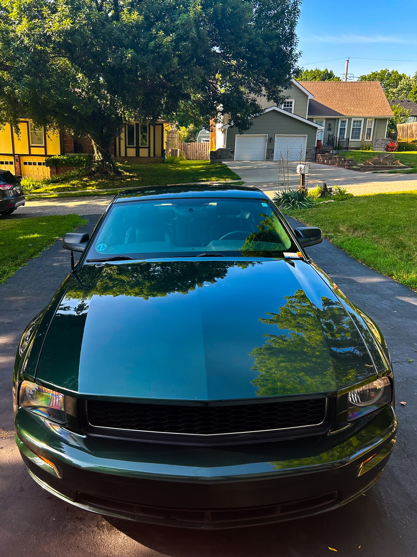 Detailed Ford Mustang Bullitt reflecting trees in its hood